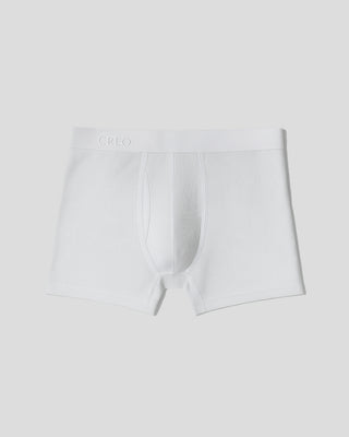 The Boxer Brief