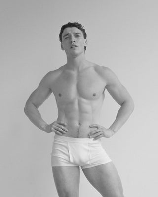 The Boxer Brief