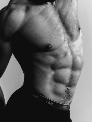 Creo Trio Brief Pack